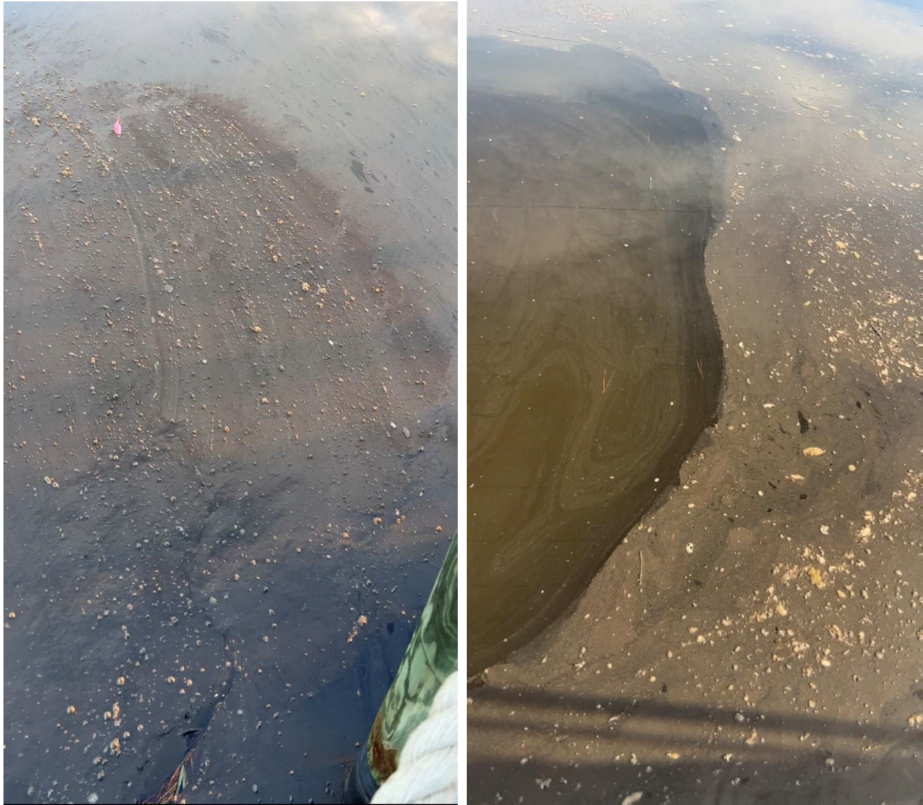 Oil sludge and sediment contamination in Hogpen Creek at close range